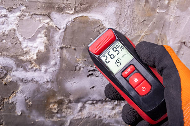 Best Mold Inspection  in Bagdad, AZ