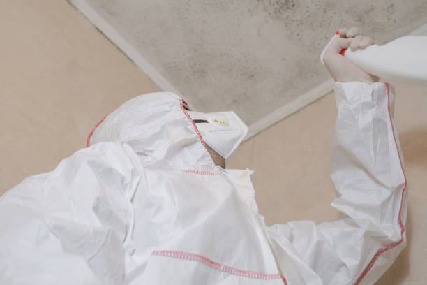 Best Emergency Mold Removal  in Bagdad, AZ