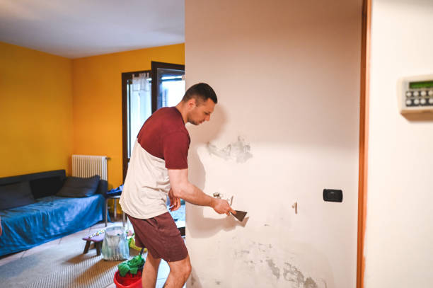 Best Residential Mold Removal  in Bagdad, AZ